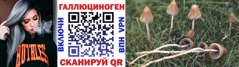 Купить  Мончегорск  Псилоцибиновые грибы мицелий 